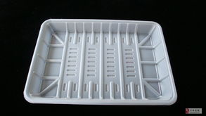 從海洋到潮流 食品、海鮮與電子五金托盒的綜合產銷藍圖